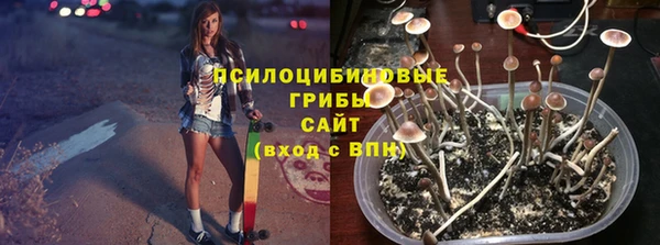 скорость Горняк