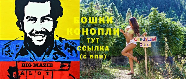 дмт Володарск